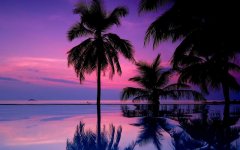 tropical-purple-sunset.jpg