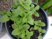 20140415914.jpg