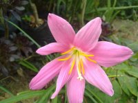201406231427.jpg