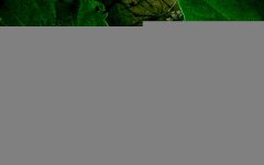 deborah-mihanblog-com_wall_green_B_1.jpg