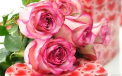 flower-wallpaper-0717.jpg