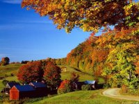 autumn-38.jpg