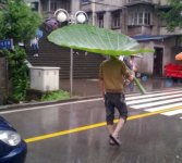 3Jokes_Funny_Pictures (20).jpg