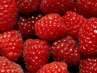 red.jpg