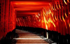 torii-shinto-shrine.jpg