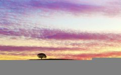 wonderful-sunset.jpg