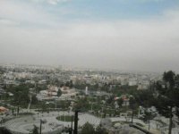 SDC16478.jpg