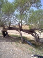 منظره5.jpg