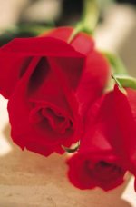 3Jokes_valentine_35.jpg