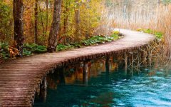 khorshidgroup-bridge-1.jpg