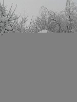 IMG_20150310_103851.jpg