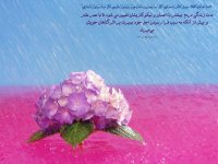 641Hadis H005.jpg