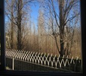IMG_0717.jpg