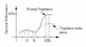 A.0195.01.gif A.0195.01.gif