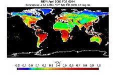 A.0195.13.jpg A.0195.13.jpg