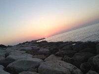 IMG_2003.jpg