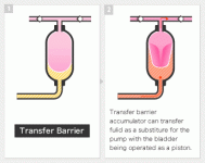 Transfer-Barrier.gif