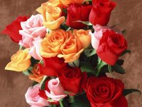 flower-wallpaper- (69).jpg