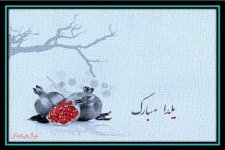 YALDA.jpg