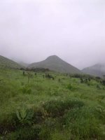 تصویر۰۲۵۴.jpg