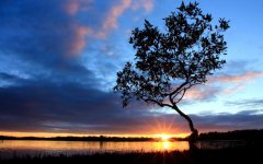 sunset-pelican-island-australia.jpg