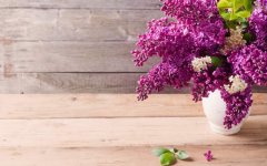 vase-lilac-flowers.jpg