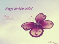 _BUTTERFLY__by_nono_sukar.jpg