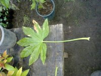 230420153085.jpg