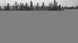 SDC13489.jpg