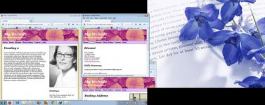 microsoft  expression web 2.jpg