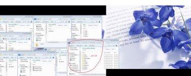 microsoft expression web.jpg