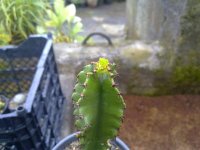 20140418951.jpg