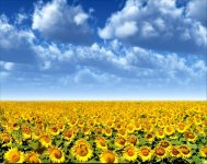 __4_____12_20120218_1422503706.jpg