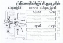 shadi.jpg