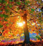 IMG_20171030_010421.jpg