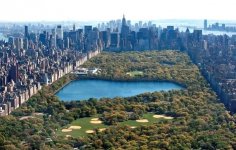 Central-Park.jpg