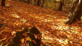 photo_2017-11-05_15-57-59.jpg photo_2017-11-05_15-57-59.jpg