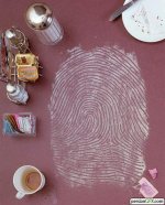 fingerprints02.jpg