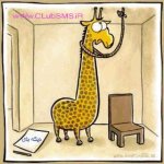 zarafe_clubsms_ir.jpg