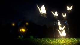 7007450-beautiful-butterflies-wallpaper.jpg