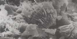 macroscopic-porosity_fr.jpg