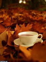 Photo-of-autumn-cup-8.jpg