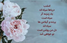 جدیدترین-اشعار-شمس-لنگرودی.jpg