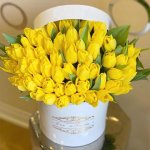 سبد-گل-لاله-زرد-طبیعی-هلندی-با-گلدانی-سفید.jpg
