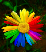 1607841311306.png