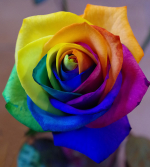 1607841380908.png