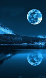 WallpaperGram.IR_1562994005_z31344.jpg