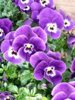 IMG_20220525_094352_355.jpg