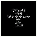 images (8).jpeg