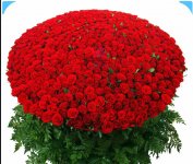 IMG_20230104_174953.jpg